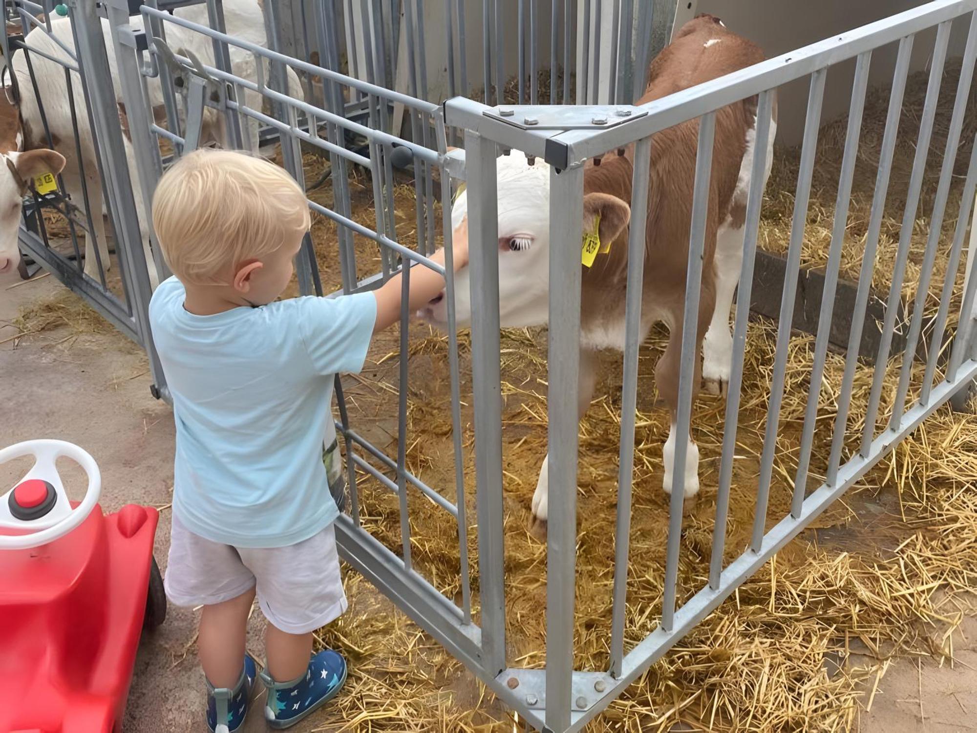 Ferienhof Roller Simmersfeld Zewnętrze zdjęcie